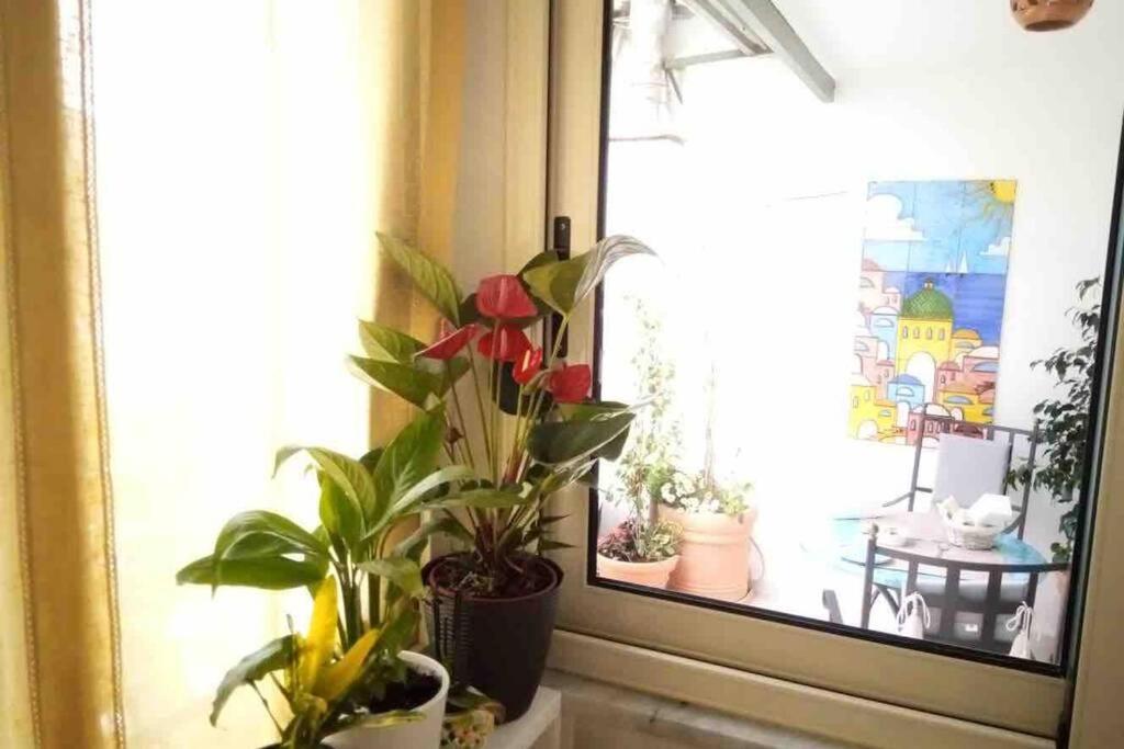 Casa Dalia Apartment